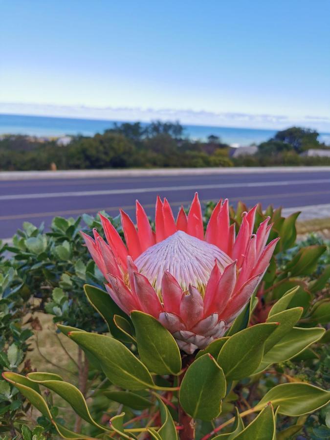 מלון Bettyʼs Bay Oceanscape מראה חיצוני תמונה